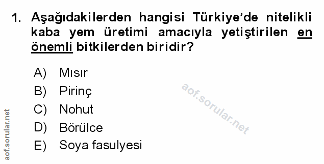 Soru 1