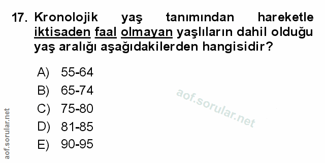 Soru 17