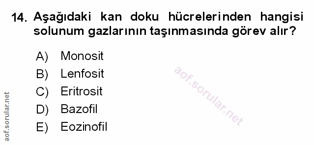 Soru 14