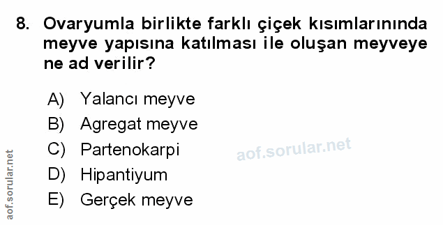 Soru 8