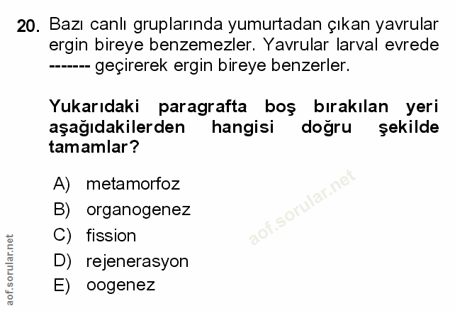 Soru 20