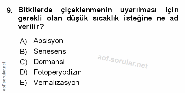 Soru 9