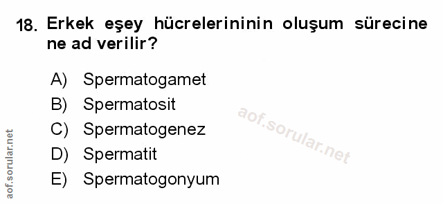 Soru 18