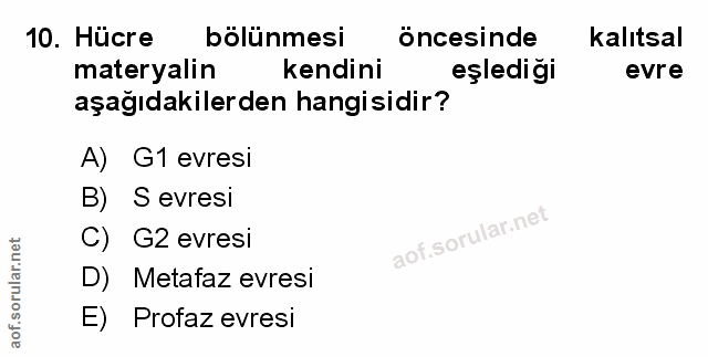 Soru 10