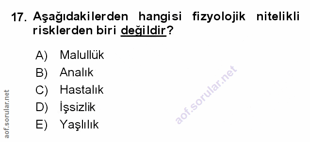 Soru 17