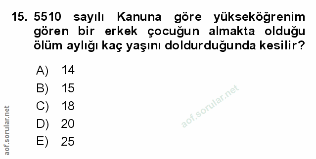 Soru 15
