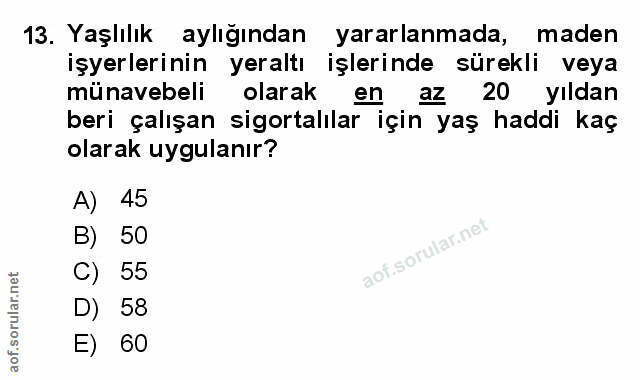 Soru 13