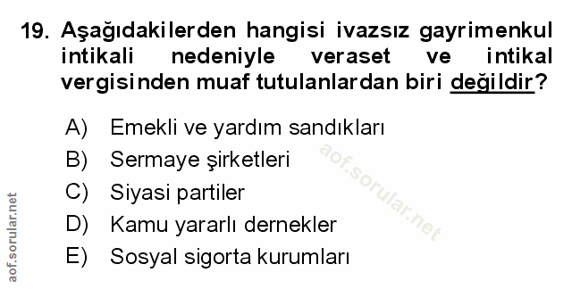 Soru 19