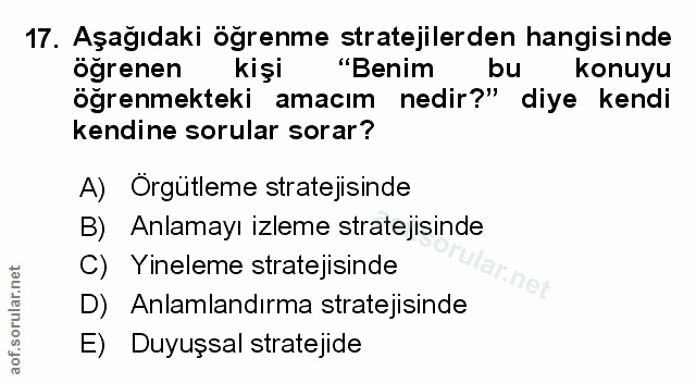 Soru 17
