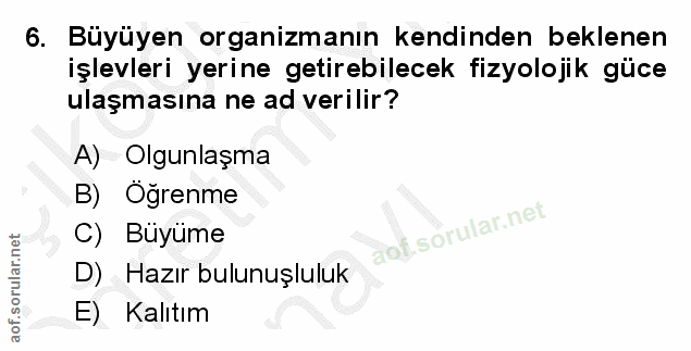 Soru 6