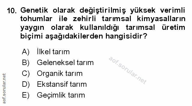 Soru 10