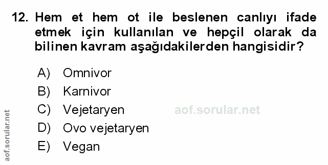 Soru 12