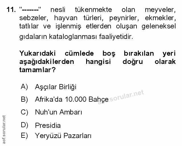 Soru 11