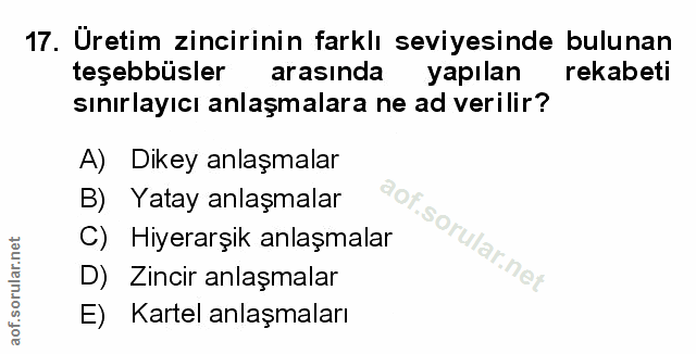 Soru 17