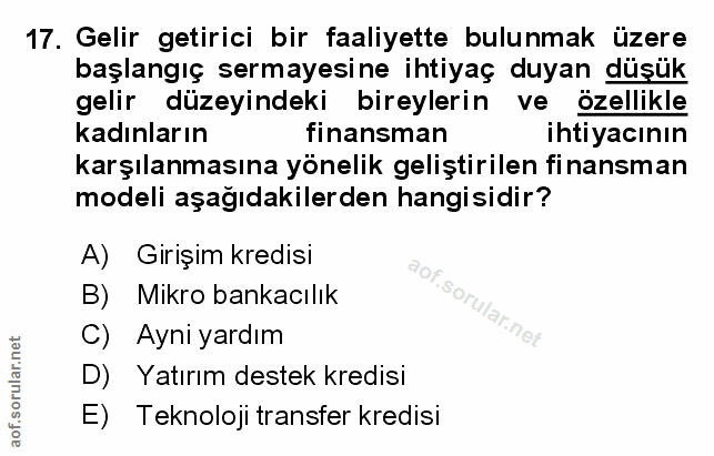 Soru 17