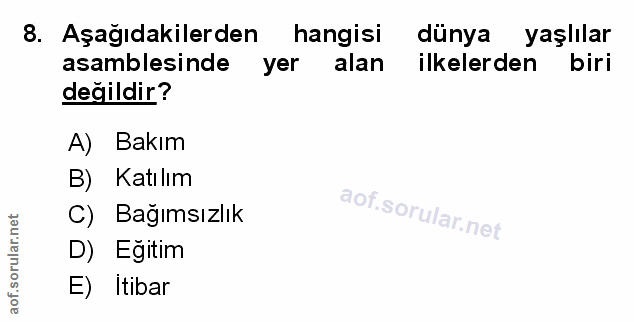 Soru 8