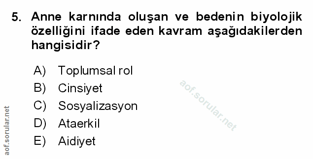 Soru 5