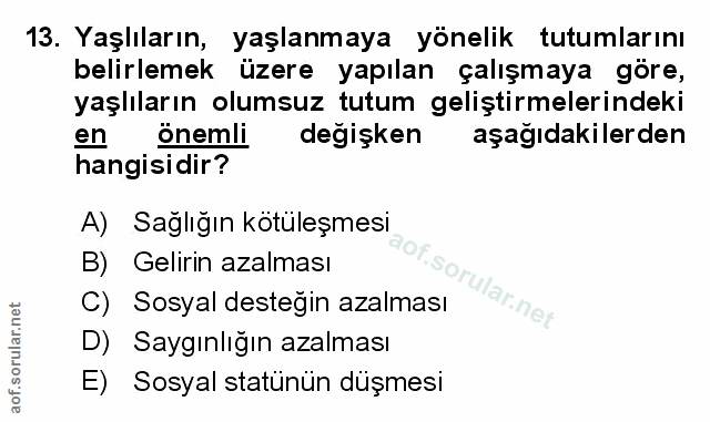 Soru 13