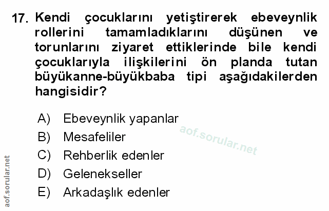 Soru 17