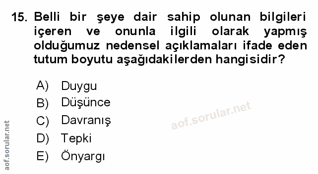 Soru 15