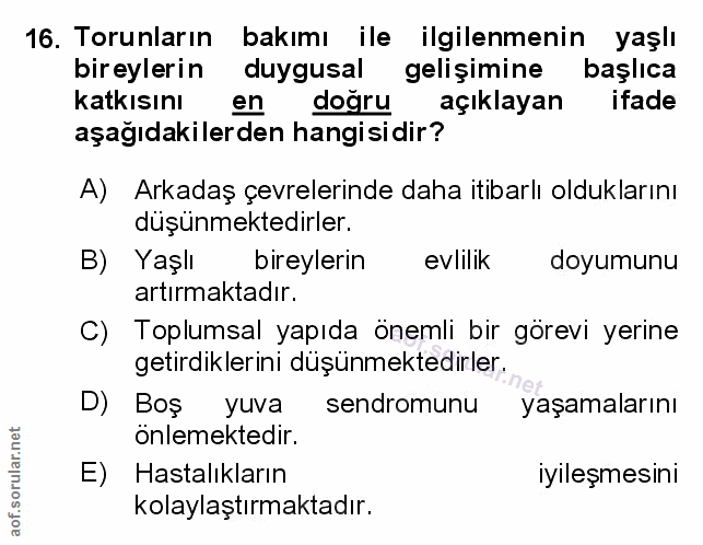 Soru 16