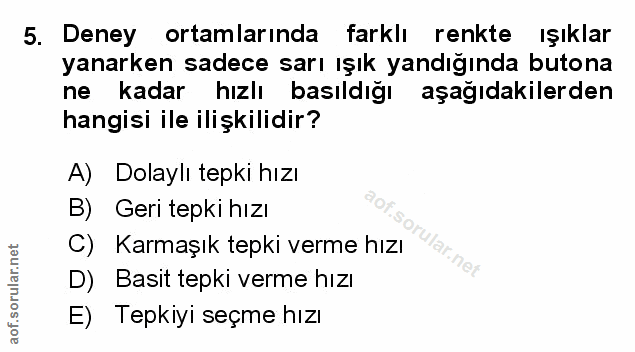 Soru 5