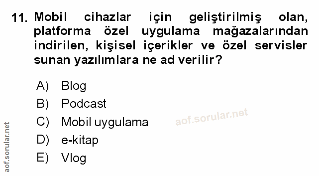 Soru 11