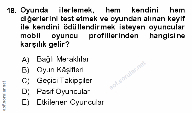 Soru 18