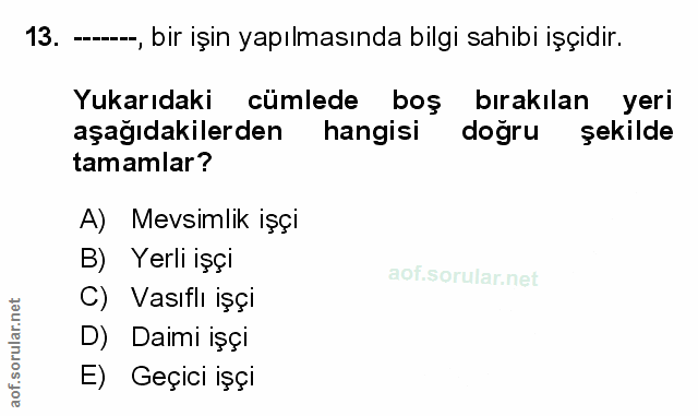 Soru 13