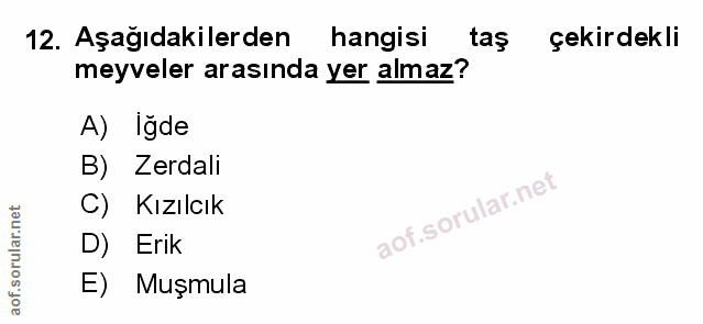 Soru 12