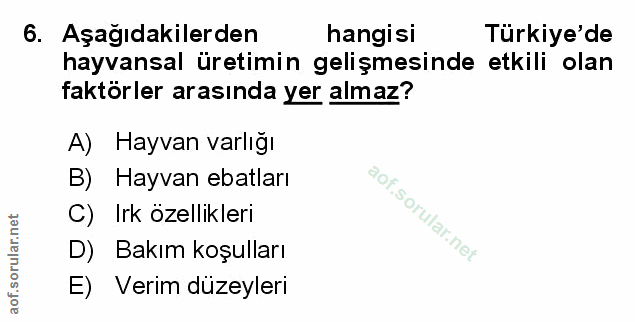 Soru 6