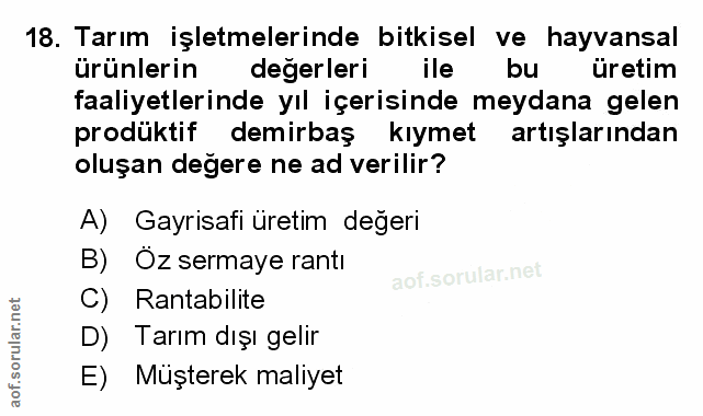 Soru 18