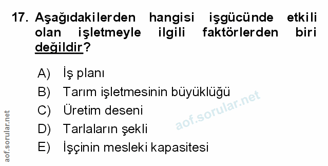 Soru 17