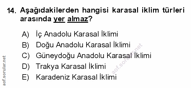 Soru 14