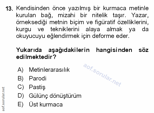 Soru 13