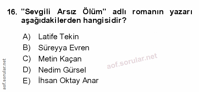 Soru 16