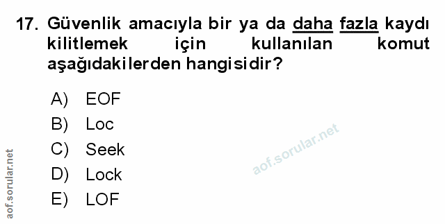 Soru 17