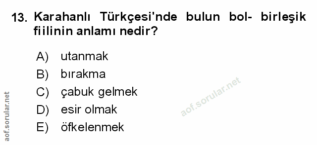 Soru 13