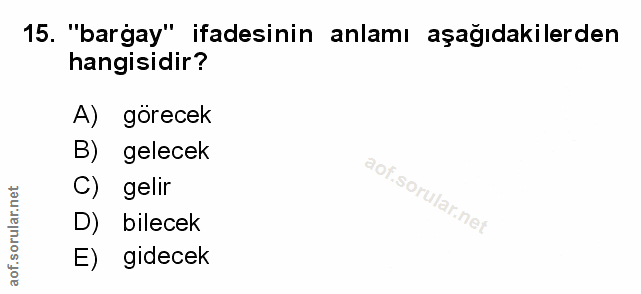 Soru 15