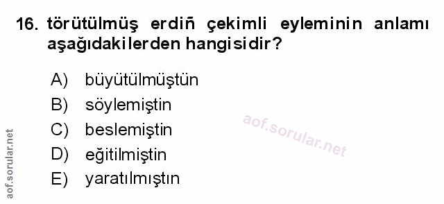 Soru 16