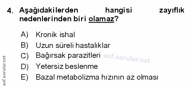 Soru 4