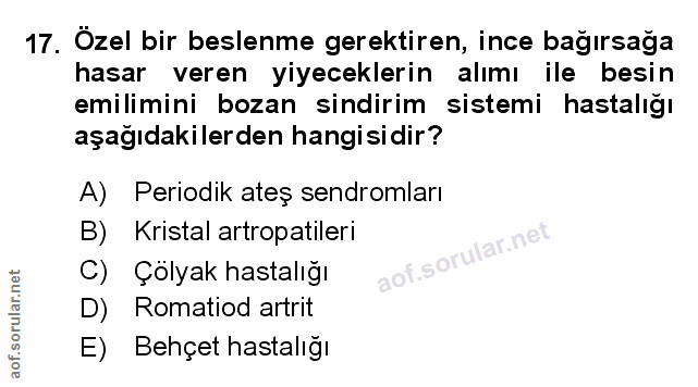 Soru 17