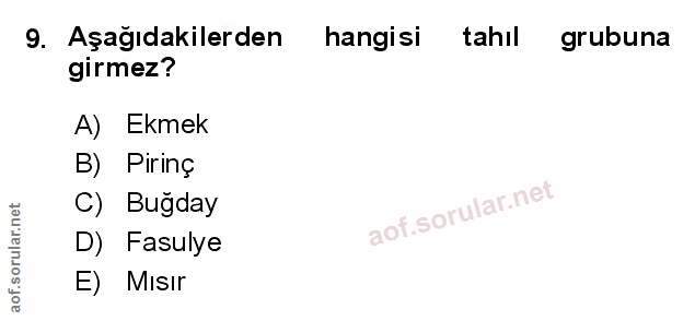 Soru 9