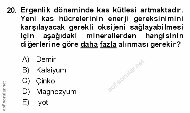 Soru 20