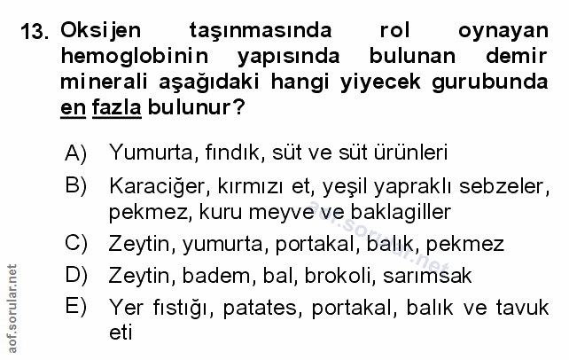 Soru 13