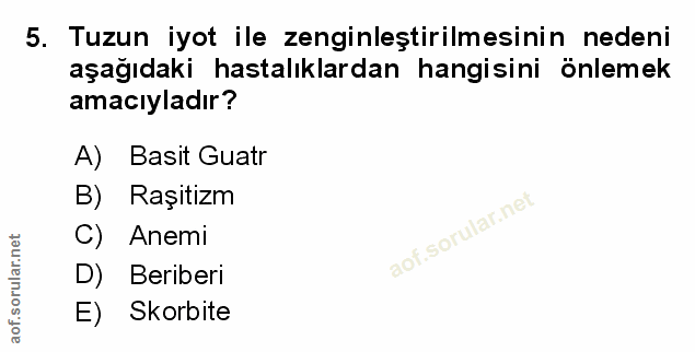 Soru 5