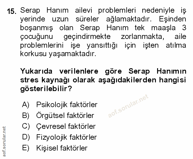 Soru 15