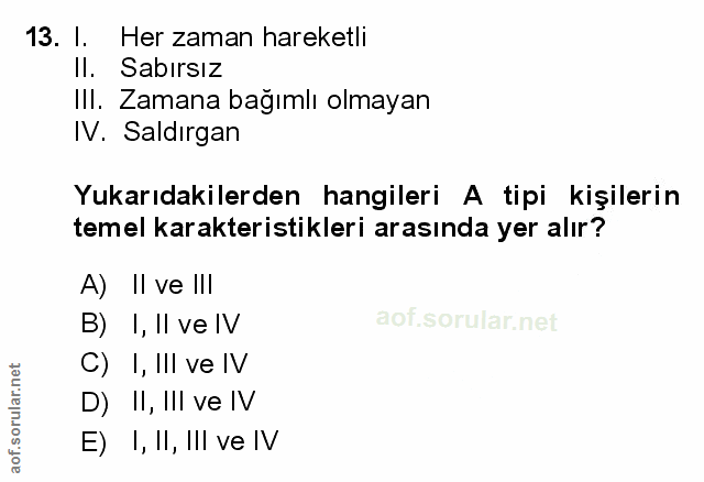 Soru 13