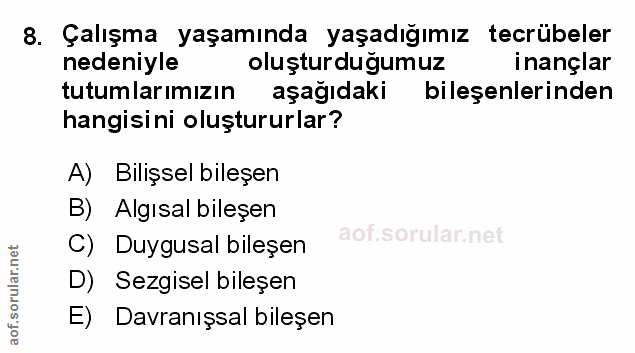 Soru 8