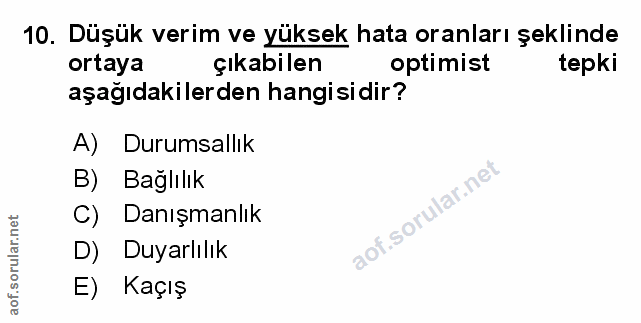 Soru 10